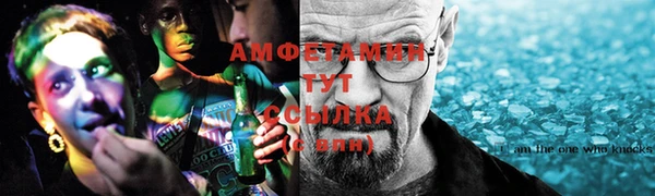 гидра Вяземский