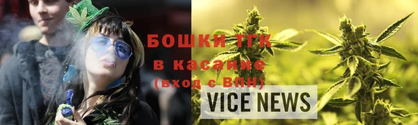 гидра Вяземский