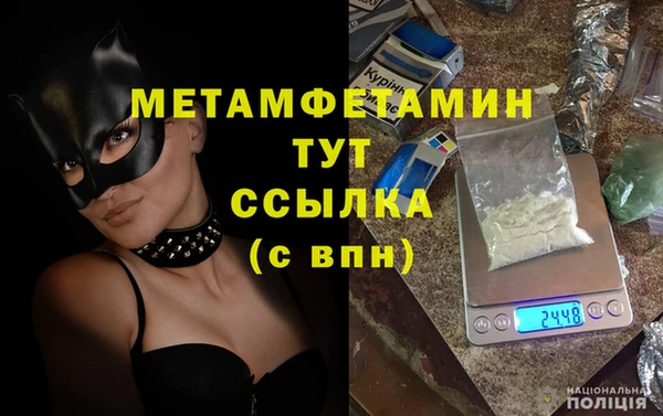 гидра Вяземский