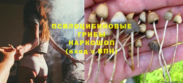 бошки Вязники