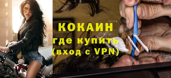 гидра Вяземский