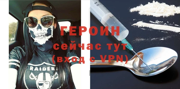 гидра Вяземский