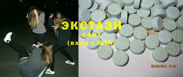 гидра Вяземский