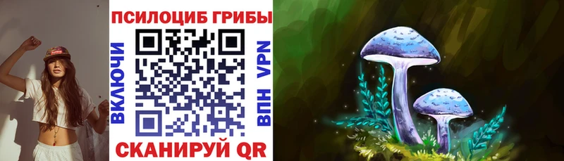 Галлюциногенные грибы GOLDEN TEACHER  Новохопёрск 